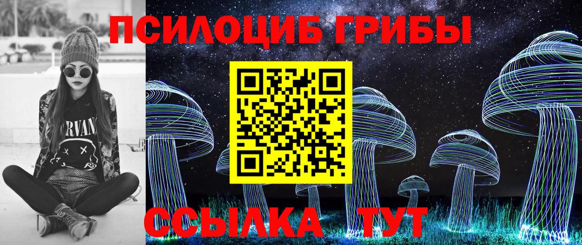 Псилоцибиновые грибы MAGIC MUSHROOMS  Галлюциногенные грибы Cubensis  Урус-Мартан  Вход с VPN 